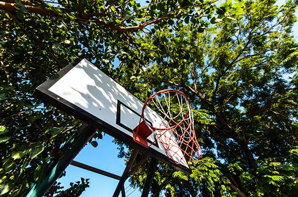 Basketball