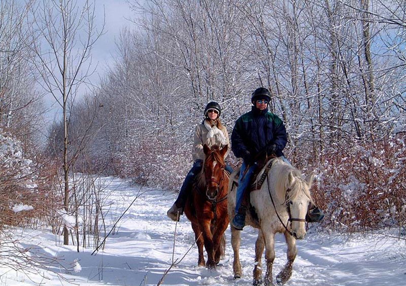 Horseback Riding